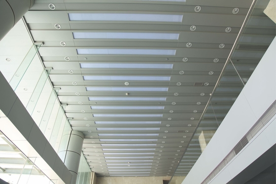 300x3000mmの会議場の壁の装飾のためのアルミニウムHストリップの天井
