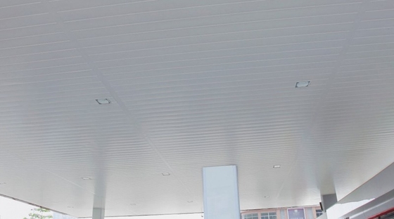 メトロ・ステーションのためのカスタマイズ可能な色のHストリップの天井